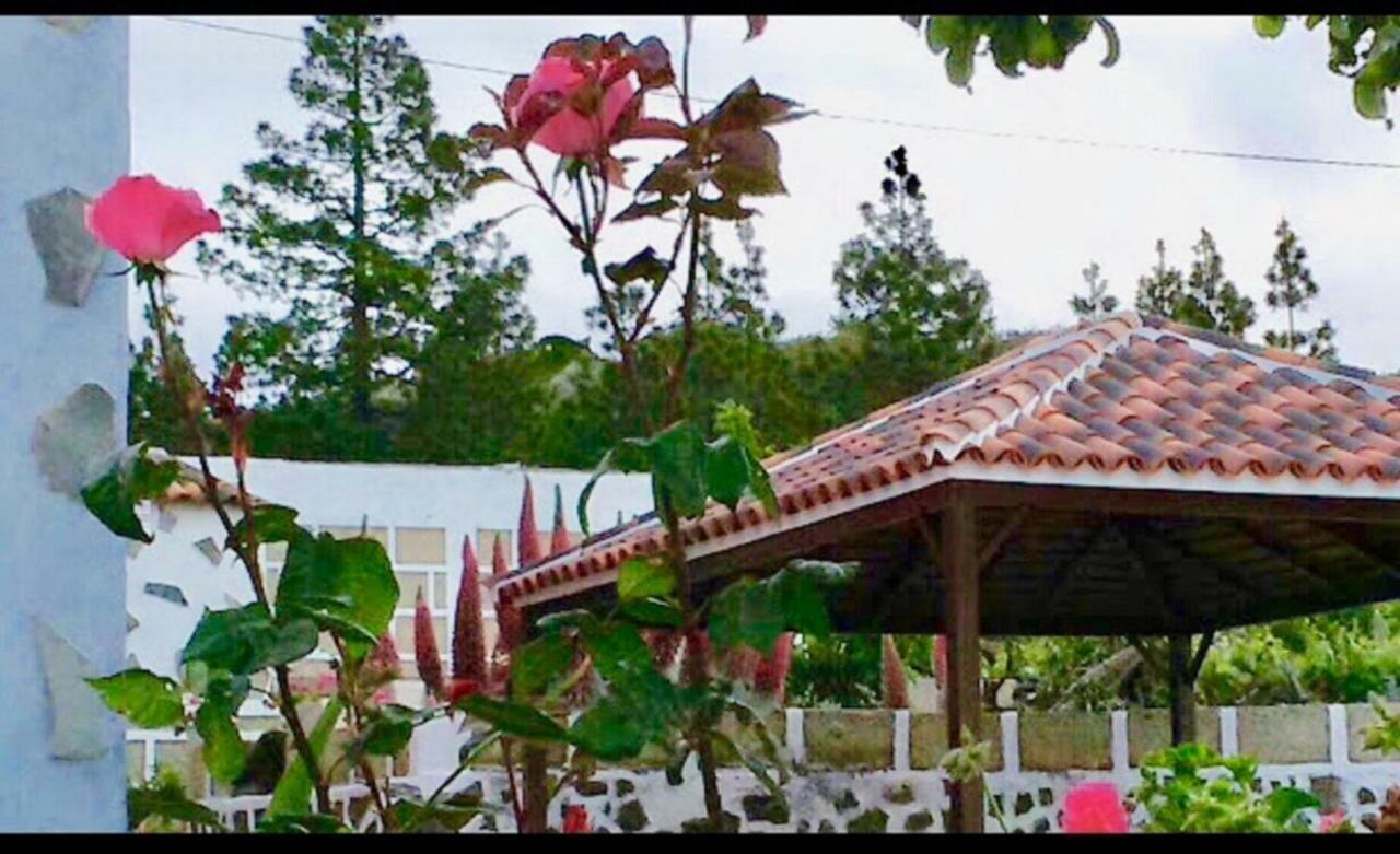 Casa Rural Finca Paraiso. Heated Pool Вилафлор Экстерьер фото